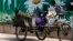 A migrant worker listens to radio on his tricycle cart parked next to a billboard promoting environment protection with the slogan "Environment protection starts from you and me" on display at the Central Business District of Beijing, June 5, 2017. 