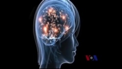 苍蝇帮助人类认识大脑功能