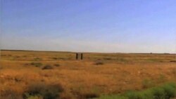 Калифорнийская лихорадка