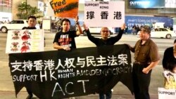 中国民主党洛杉矶集会，支持美国会“香港人权与民主法案”