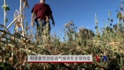 科学家预测极端气候将持续