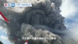 VOA國際60秒(粵語): 2020年8月10日