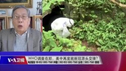时事大家谈： 中国拖延WHO入境调查 美中再度就新冠源头交锋?