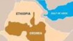 Gaaffii fi deebii geggeeffame caqasaa