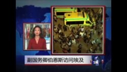 VOA连线: 副国务卿伯恩斯访问埃及