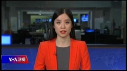 周末专辑 完整版（2018年5月26日）