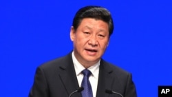 中國國家主席習近平（資料圖片）提出 “蒼蠅老虎一起打”的反腐運動。