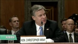 联调局局长：中国对美构成最长远威胁