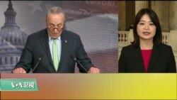 VOA 连线（李逸华）：参议院通过决议案终止特朗普总统国家紧急状态