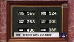 专家：极端组织借助民众不满起家