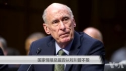 国家情报总监否认对川普不敬