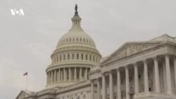 "Стингреи" в Вашингтоне