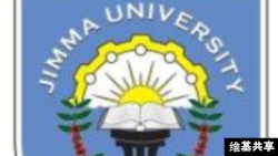 Yuniversitii Jimmaa