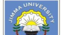 Barsiisonnii fi Hoogganoonni Yunivarsitii Jimmaa Hidhaa Jiran Yeroo Sadaffaaf Mana-murtiitti Dhihaatan